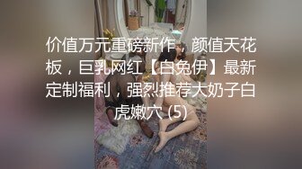 价值万元重磅新作，颜值天花板，巨乳网红【白兔伊】最新定制福利，强烈推荐大奶子白虎嫩穴 (5)