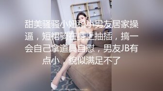 甜美骚骚小妞和小男友居家操逼，短裙骑在身上抽插，搞一会自己拿道具自慰，男友JB有点小，貌似满足不了