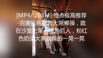 [MP4/ 263M] 撸点极高推荐-完美蜜桃肥臀大屌爆操，跪在沙发上第一视角后入，粉红色奶头大车顶操的一晃一晃