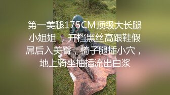 第一美腿175CM顶级大长腿小姐姐 ，开档黑丝高跟鞋假屌后入美臀，椅子腿插小穴，地上骑坐抽插流出白浆