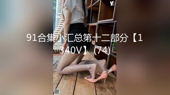 91合集小汇总第十二部分【1340V】 (74)