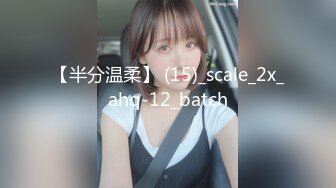 【半分温柔】 (15)_scale_2x_ahq-12_batch