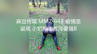 麻豆传媒 MMZ-048 偷情圣诞夜 小奶狗调教淫妻骚B