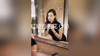 红烧西蓝花 (95)