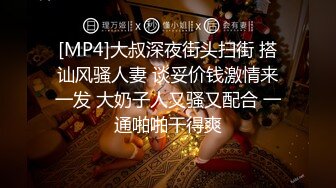 [MP4]大叔深夜街头扫街 搭讪风骚人妻 谈妥价钱激情来一发 大奶子人又骚又配合 一通啪啪干得爽