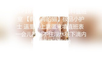 《精品情侶私拍泄密》公司稽核專員反差美女何X庭與男友啪啪真實自拍流出 極品大波粉嫩嫩小筆 叫聲超贊～無水原檔 (3)