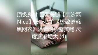 顶级身材 巨乳美腿【奈汐酱Nice】最新私拍《极致诱惑黑网衣》隔着网纱露美鲍 尺度逐渐增大 (4)