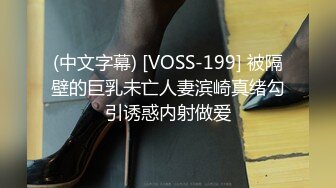 (中文字幕) [VOSS-199] 被隔壁的巨乳未亡人妻滨崎真绪勾引诱惑内射做爱