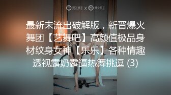 最新未流出破解版，新晋爆火舞团【艺舞吧】高颜值极品身材纹身女神【乐乐】各种情趣透视露奶露逼热舞挑逗 (3)