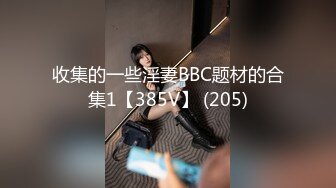 收集的一些淫妻BBC题材的合集1【385V】 (205)