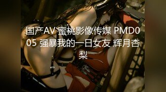 国产AV 蜜桃影像传媒 PMD005 强暴我的一日女友 辉月杏梨