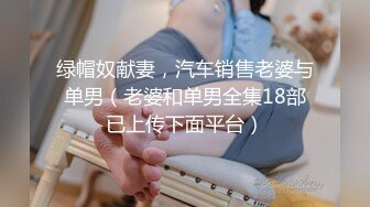 绿帽奴献妻，汽车销售老婆与单男（老婆和单男全集18部已上传下面平台）