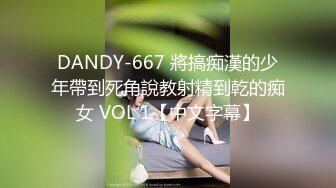 DANDY-667 將搞痴漢的少年帶到死角說教射精到乾的痴女 VOL 1【中文字幕】