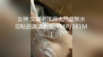 女神 文馨老洋房大尺度無水印私拍高清套圖[418P/381M]